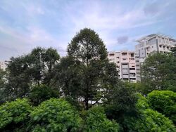 Blk 656 Woodlands Ring Road (Woodlands), HDB Executive #636450391